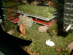 Inside view of the diorama inside the PC, small sculptures of a cobra and a rabbit are set on a piece of astroturf facing each other