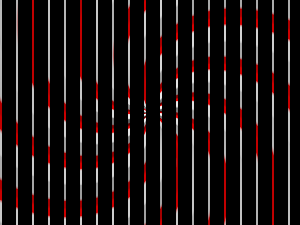 The same spiral as above, unmoving and now covered by wide black vertical bars